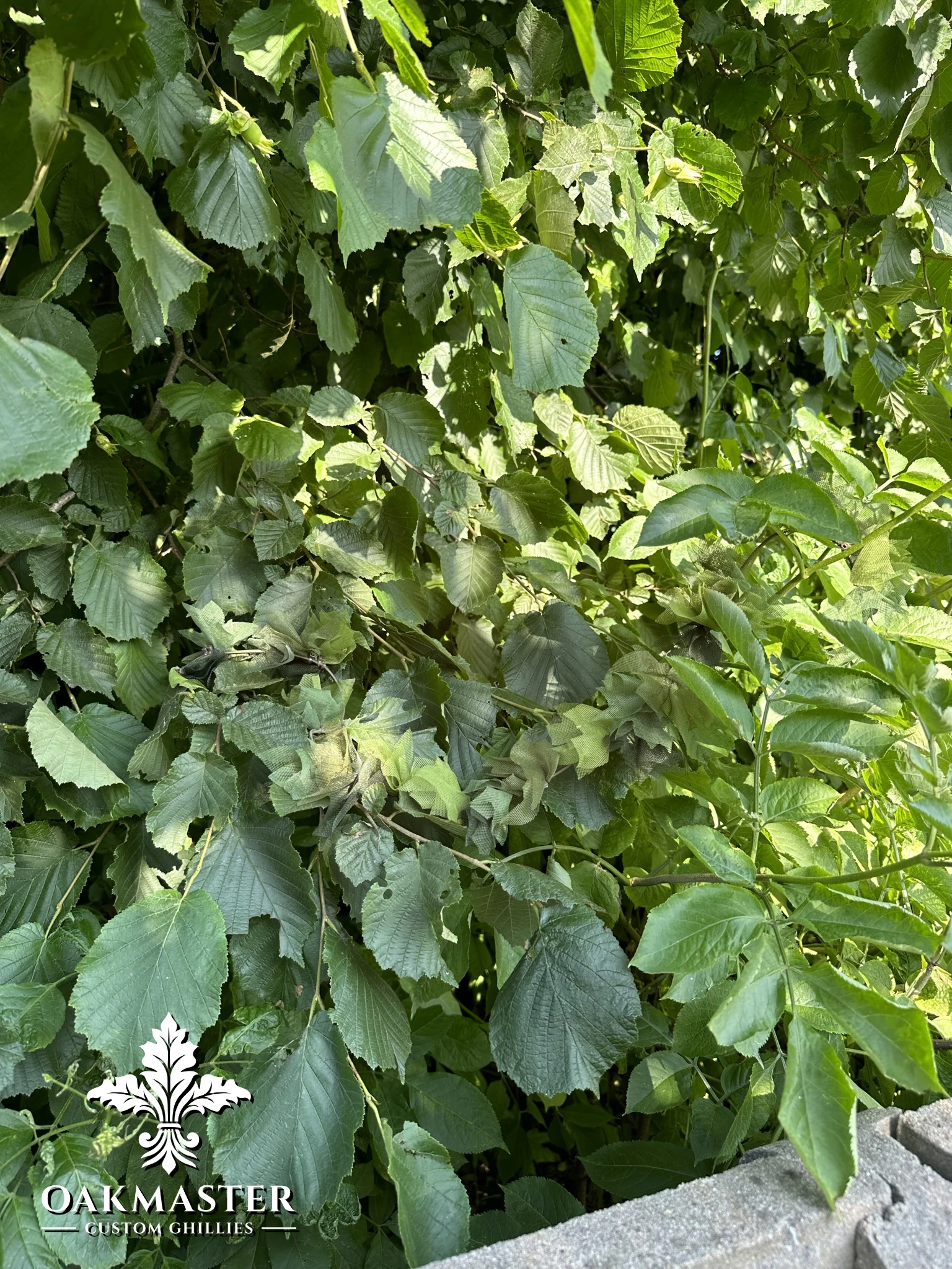 MODULAR BUNGEE CAM - JUNGLE - Image 2