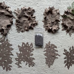 Positive Space Modules Forest Floor 2