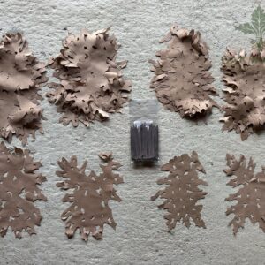 Positive Space Modules Forest Floor 4