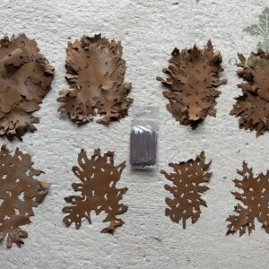 Positive Space Modules Forest Floor 6