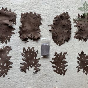 Positive Space Modules Forest Floor 7