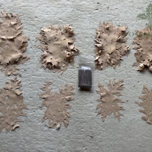 Positive Space Modules Forest Floor 8