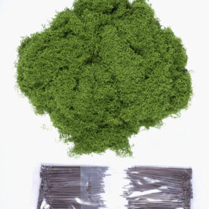 Green Cloud Bright